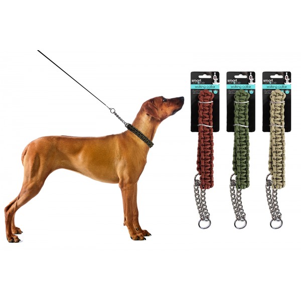 Smart Choice WALKING DOG COLLAR MEDIUM/LARGE 3 ASSORTED COLOURS
