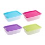FOOD STORAGE BOX WITH VENT 3L 2 ASSORTED COLOURS