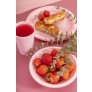 PICNIC PLATES 4 PACK 3 ASSORTED COLOURS