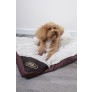SOFT TEXTURED PET CUSHION 2 ASSORTED COLOURS