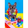 SUMMER SUNGLASSES PLUSH DOG TOY WITH SQUEAKER