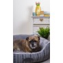 PATTERNED PET BED SMALL
