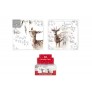 10 CARDS FROSTED DEER