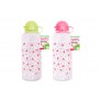 600ml Water Bottle with Lid and Straw Two Assorted
